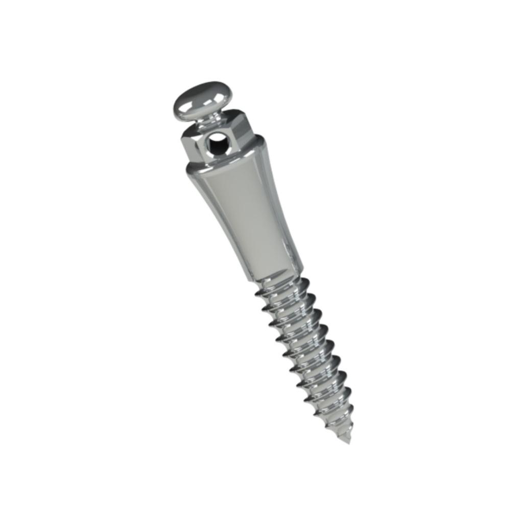 MINI TORNILLO EXTRARADICULAR ACERO 7MM TRANSM 4MM Ø2MM_1