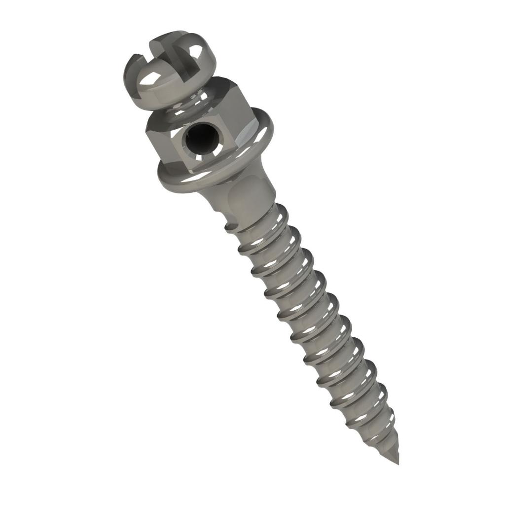 MINI TORNILLO CABEZA DE BRACKET HORARIO 8MM TRANSM 1MM Ø1.5MM_1