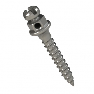 MINI TORNILLO CABEZA DE BRACKET HORARIO 8MM TRANSM 1MM Ø1.5MM_1