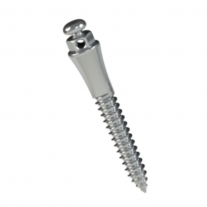 MINI TORNILLO EXTRARADICULAR ACERO 10MM TRANSM 4MM Ø2MM_1