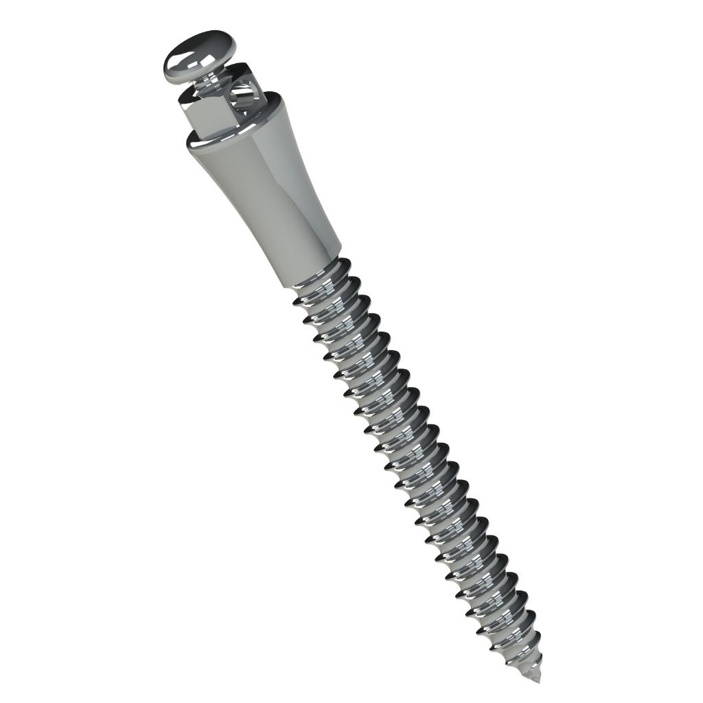 MINI TORNILLO EXTRARADICULAR ACERO 14MM TRANSM 4MM Ø2MM_1