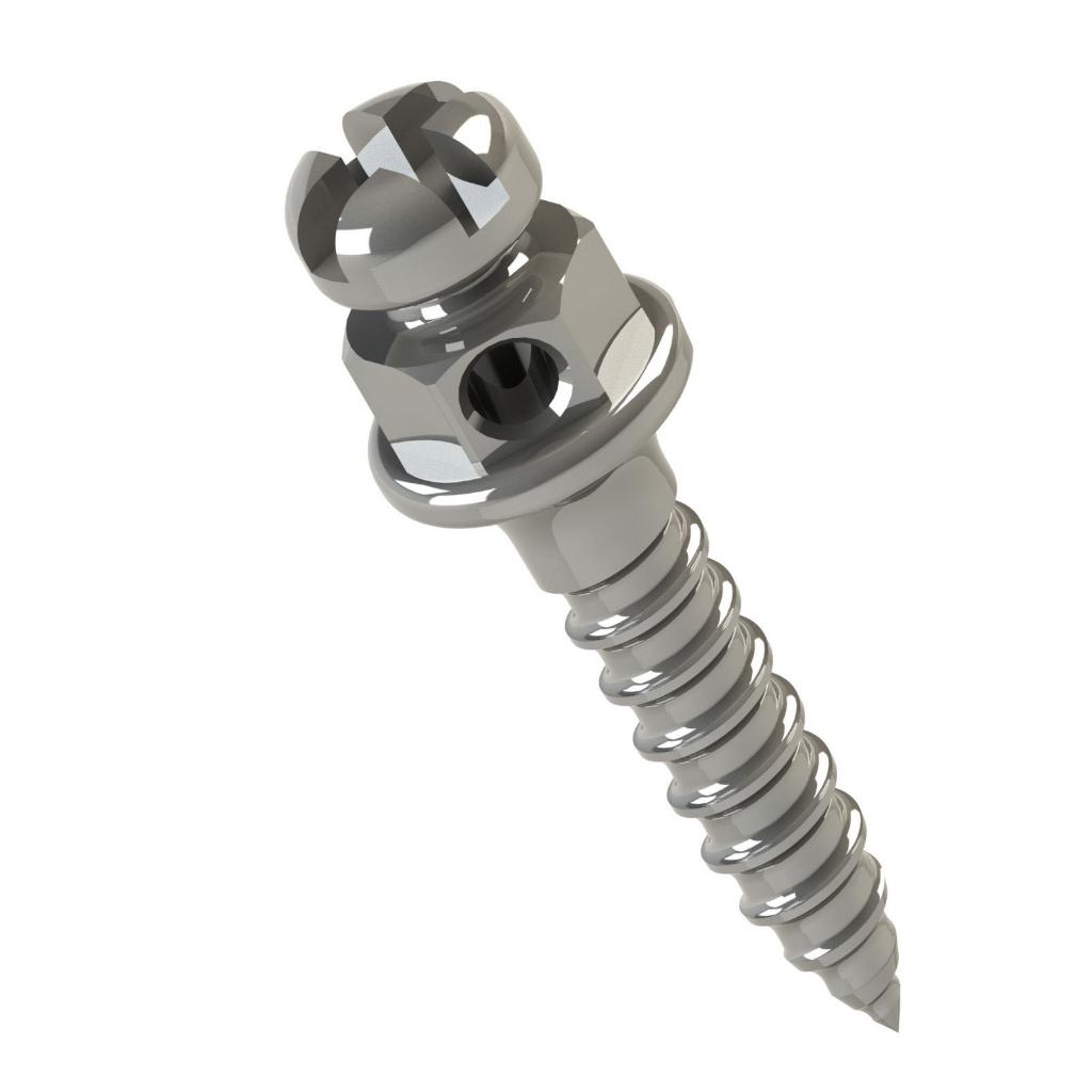 MINI TORNILLO CABEZA DE BRACKET HORARIO 6MM TRANSM 1MM Ø1.5MM_1