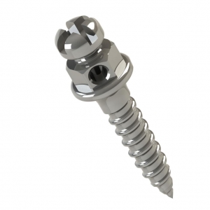 MINI TORNILLO CABEZA DE BRACKET HORARIO 6MM TRANSM 1MM Ø1.5MM_1