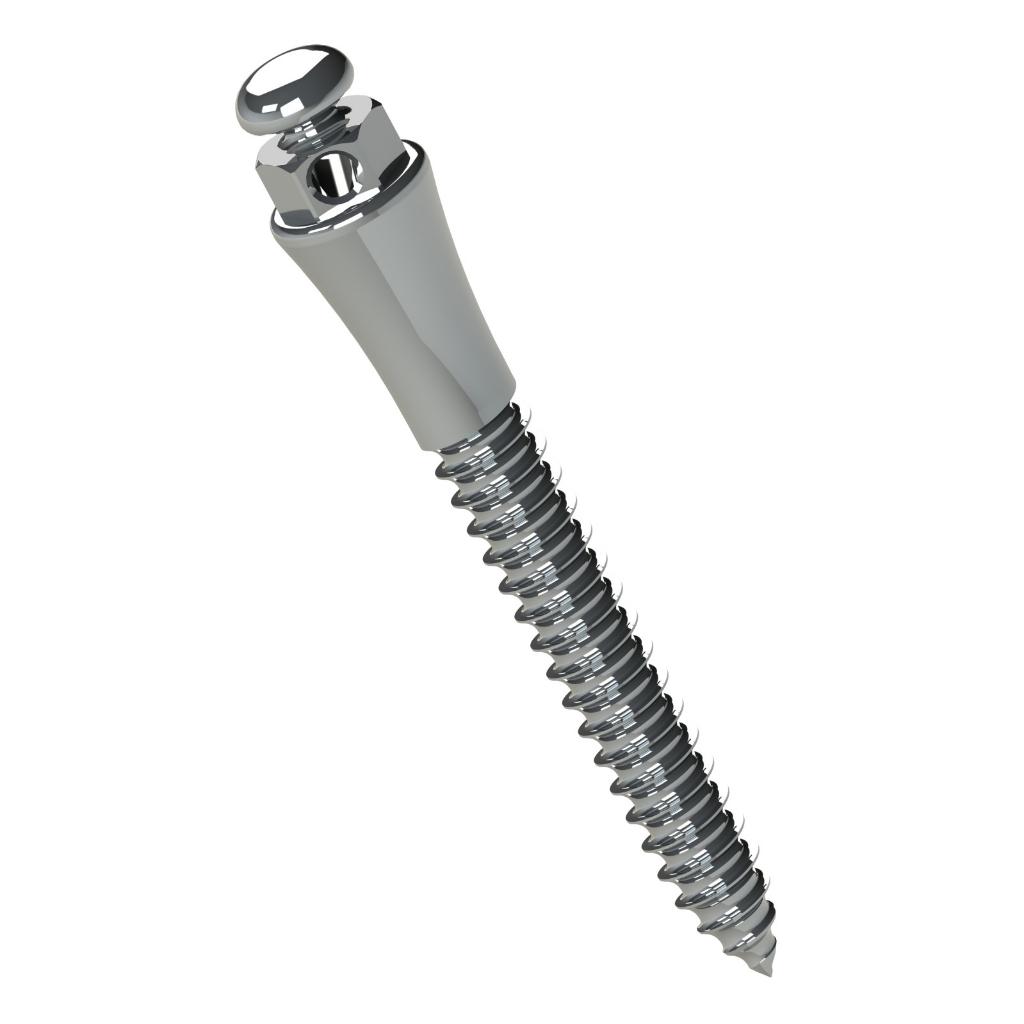 MINI TORNILLO EXTRARADICULAR ACERO 12MM TRANSM 4MM Ø2MM_1