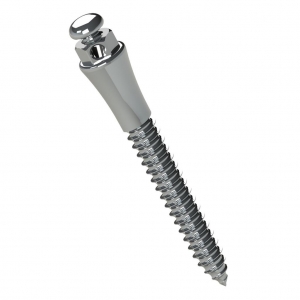 MINI TORNILLO EXTRARADICULAR ACERO 12MM TRANSM 4MM Ø2MM_1